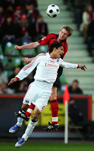 他们不仅需 他们不仅需